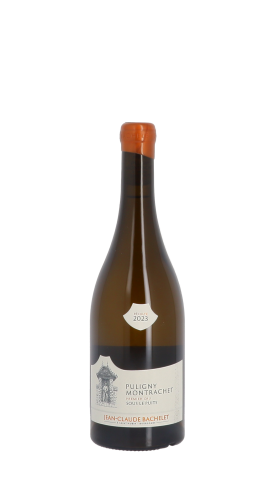 Domaine Jean-Claude Bachelet et Fils, Sous Le Puits blanc 2023 Blanc 75cl