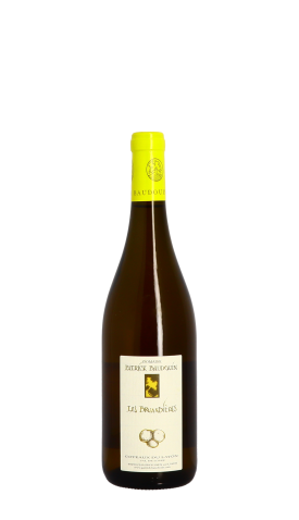 Domaine Patrick Baudouin, Les Bruandières 2018 Blanc 75cl