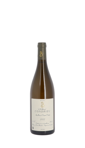 Domaine Benetière, Riollement 2022 Blanc 75cl