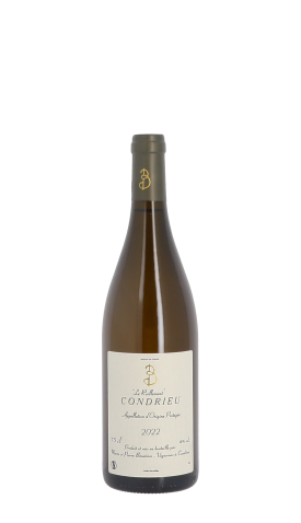 Domaine Benetière, Riollement 2022 Blanc 75cl