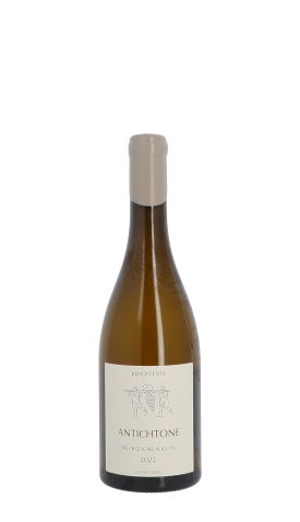 Domaine Benoit Ente, Antichtone 2022 Blanc 75cl