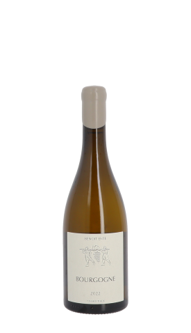 Domaine Benoit Ente, Bourgogne 2022 Blanc 75cl