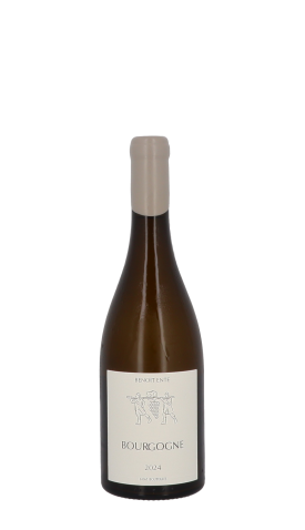 Domaine Benoit Ente, Bourgogne 2024 Blanc 75cl