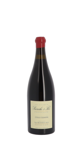 Champagne Bérêche & Fils, Les Montées 2022 Rouge 75cl