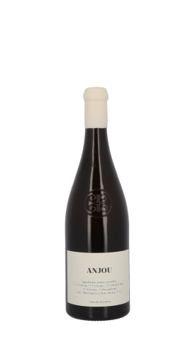 Domaine Belargus, Anjou Noir 2023 Blanc 75cl