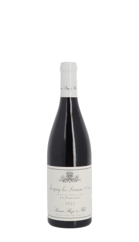 Domaine Simon Bize et Fils, Les Fournaux 2022 Rouge 75cl