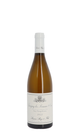 Domaine Simon Bize et Fils, Aux Vergelesses 2022 Blanc 75cl