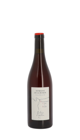 Domaine de la Borde, Ploussard de Feule 2023 Rouge 75cl