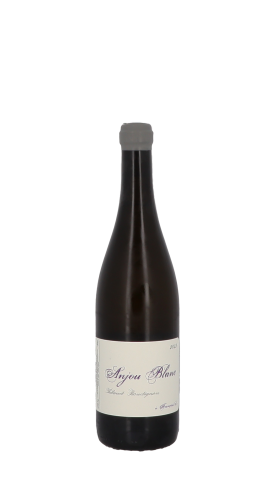 Domaine Thibaud Boudignon, à François(e) 2023 Blanc 75cl