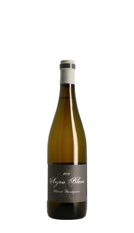 Domaine Thibaud Boudignon 2019 Blanc 75cl