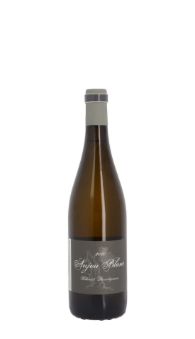 Domaine Thibaud Boudignon 2020 Blanc 75cl