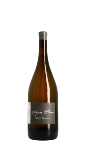 Domaine Thibaud Boudignon 2020 Blanc Magnum