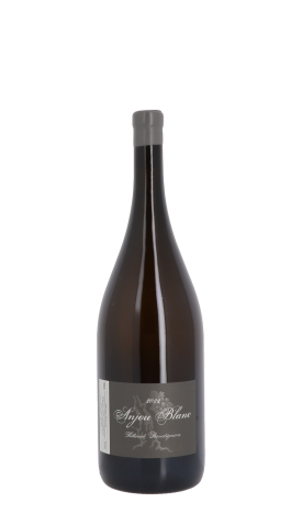Domaine Thibaud Boudignon 2022 Blanc Magnum