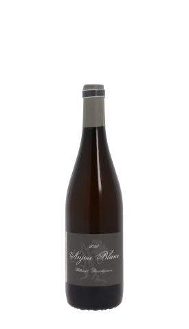 Domaine Thibaud Boudignon 2023 Blanc 75cl