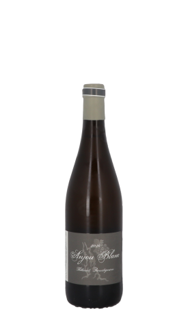 Domaine Thibaud Boudignon 2024 Blanc 75cl
