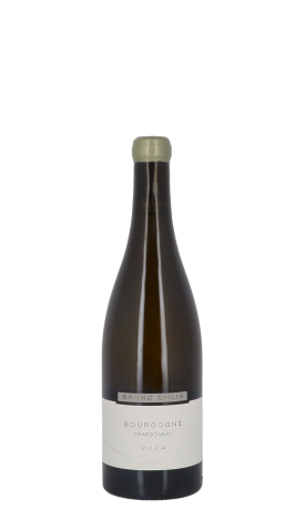 Domaine Bruno Colin 2024 Blanc 75cl