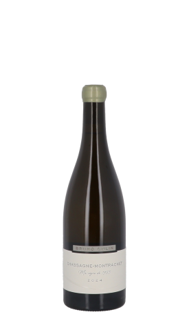 Domaine Bruno Colin, Ma Vigne de 1955 2024 Blanc 75cl