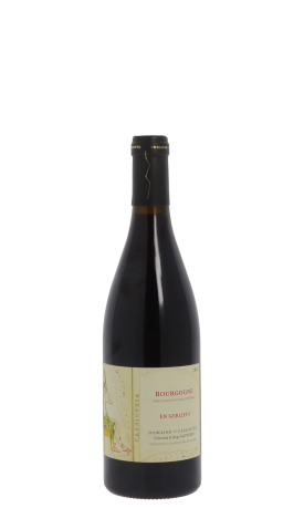 Domaine de Cassiopée 2022 Rouge 75cl