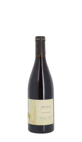 Domaine de Cassiopée, Les Plantes 2023 Rouge 75cl