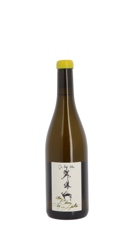 Ca boit libre, Damien Bastian 2024 Blanc 75cl