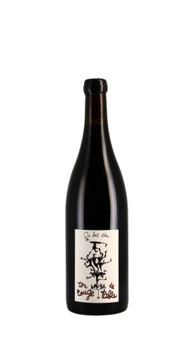 Ca boit libre - Damien Bastian, Ton Rouge de Table 2021 Rouge 75cl