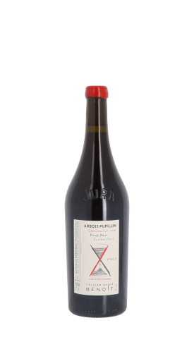 Cellier Saint Benoit, Courbes Raies 2023 Rouge 75cl