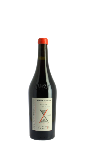 Cellier Saint Benoit, Côte de Feule 2022 Rouge 75cl