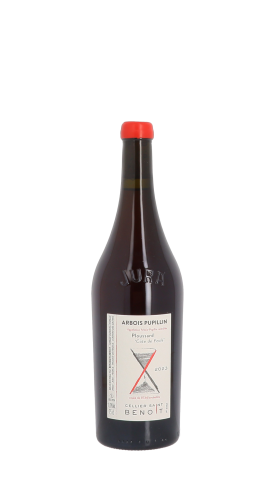 Cellier Saint Benoit, Côte de Feule 2023 Rouge 75cl