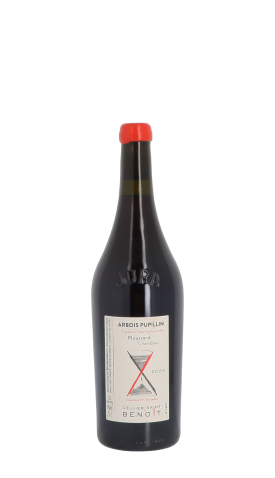 Cellier Saint Benoit, Chambines 2022 Rouge 75cl
