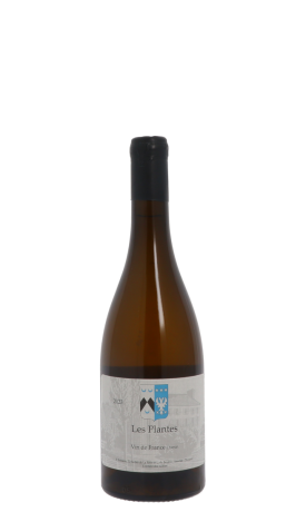 Château de Bonnezeaux, Les Plantes 2023 Blanc 75cl