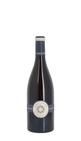 Domaine François Chidaine, Les Bournais sec 2023 Blanc 75cl