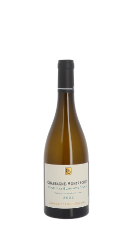Domaine Coffinet-Duvernay, Les Blanchots Dessus 2022 Blanc 75cl