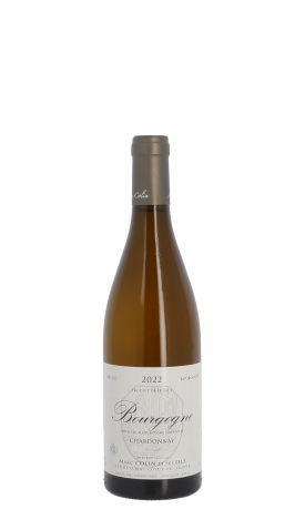 Domaine Marc Colin et Fils 2022 Blanc 75cl