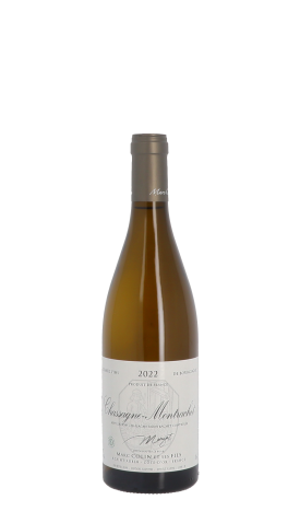 Domaine Marc Colin et Fils 2022 Blanc 75cl