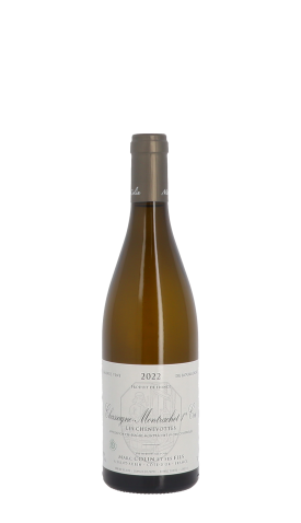 Domaine Marc Colin et Fils, Les Chenevottes 2022 Blanc 75cl