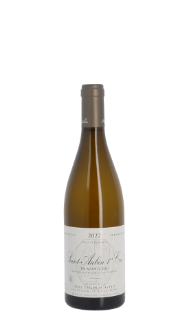 Domaine Marc Colin et Fils, En Montceau 2022 Blanc 75cl