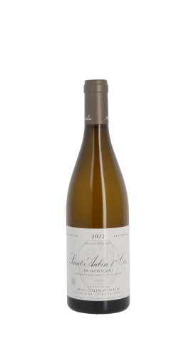 Domaine Marc Colin et Fils, En Montceau 2022 Blanc 75cl