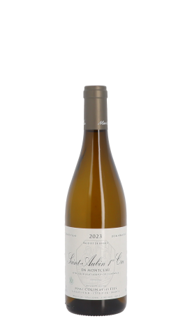 Domaine Marc Colin et Fils, En Montceau 2023 Blanc 75cl