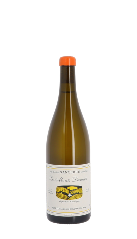Domaine Pascal Cotat, Les Monts Damnés 2023 Blanc 75cl
