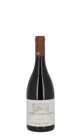 Cyprien Arlaud, Clos Solon 2023 Rouge 75cl