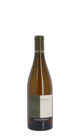 Domaine Danjou-Banessy, Coste 2023 Blanc 75cl