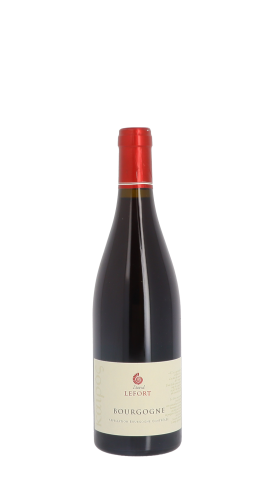 Domaine David Lefort 2022 Rouge 75cl
