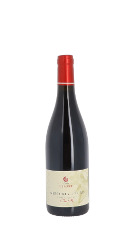 Domaine David Lefort, Castille 2022 Rouge 75cl