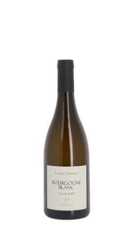 Domaine Pierre Damoy, Les Ravry 2019 Blanc 75cl