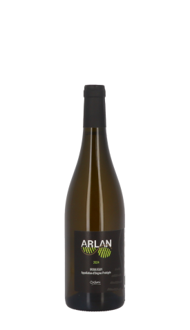 Domaine Arlan 2024 Blanc 75cl