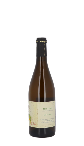 Domaine de Cassiopée, Les Plantes 2024 Blanc 75cl