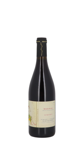 Domaine de Cassiopée, Le Saugeot 2024 Rouge 75cl