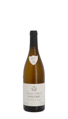 Domaine Delaporte, Côte d'Amigny 2022 Blanc 75cl