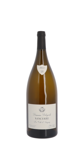 Domaine Delaporte, Côte d'Amigny 2022 Blanc Magnum