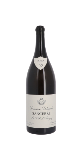 Domaine Delaporte, Côte d'Amigny 2022 Blanc Double Magnum
